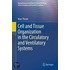 Cell And Tissue Organization In The Circulatory And Ventilatory Systems