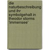 Die Naturbeschreibung Und Ihr Symbolgehalt In Theodor Storms 'Immensee' door Peter Heilek