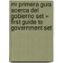 Mi Primera Guia Acerca del Gobierno Set = First Guide to Government Set