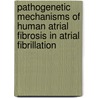 Pathogenetic Mechanisms Of Human Atrial Fibrosis In Atrial Fibrillation by Felix Gramley
