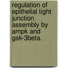 Regulation Of Epithelial Tight Junction Assembly By Ampk And Gsk-3Beta. door Li Zhang