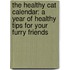 The Healthy Cat Calendar: A Year Of Healthy Tips For Your Furry Friends