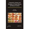 Comparative Anatomy And Phylogeny Of Primate Muscles And Human Evolution door Bernard Wood