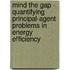 Mind The Gap - Quantifying Principal-Agent Problems In Energy Efficiency