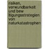 Risiken, Verwundbarkeit Und Bew Ltigungsstrategien Von Naturkatastrophen