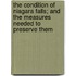 The Condition Of Niagara Falls; And The Measures Needed To Preserve Them