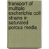 Transport Of Multiple Escherichia Coli Strains In Saturated Porous Media