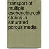 Transport Of Multiple Escherichia Coli Strains In Saturated Porous Media door George Lutterodt