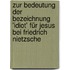 Zur Bedeutung der Bezeichnung 'Idiot' für Jesus bei Friedrich Nietzsche