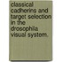 Classical Cadherins And Target Selection In The Drosophila Visual System.