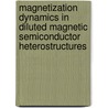 Magnetization Dynamics In Diluted Magnetic Semiconductor Heterostructures door Martin Kneip