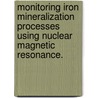 Monitoring Iron Mineralization Processes Using Nuclear Magnetic Resonance. door Kristina Keating