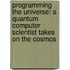 Programming The Universe: A Quantum Computer Scientist Takes On The Cosmos