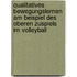 Qualitatives Bewegungslernen Am Beispiel Des Oberen Zuspiels Im Volleyball