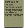 Brief Tour of Human Consciousness / From Impostor Poodles to Purple Numbers by V.S. Ramachandran