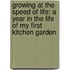 Growing At The Speed Of Life: A Year In The Life Of My First Kitchen Garden