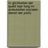 M Glichkeiten Der Qualit Tspr Fung Im Ambulanten Sozialen Dienst Der Justiz door Heike Meyer