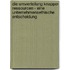 Die Umverteilung Knapper Ressourcen - Eine Unternehmensethische Entscheidung