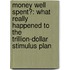 Money Well Spent?: What Really Happened To The Trillion-Dollar Stimulus Plan