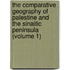 The Comparative Geography Of Palestine And The Sinaitic Peninsula (Volume 1)