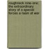 Roughneck Nine-One: The Extraordinary Story Of A Special Forces A-Team At War