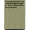 Innovationscontrolling - Steuerungskonzept Fur Kleine Und Mittlere Unternehmen door Martin Ehrenberg