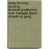 Keep Burning - Burning - Burnout-Prophylaxe Und -Therapie Durch Shaolin-Qi Gong