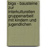 Biga - Bausteine Zur Interkulturellen Gruppenarbeit Mit Kindern Und Jugendlichen door Katharina Kozok