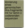 Klonierung Eines Genomischen Dna-Fragments Mit Fur Lamin C Codierenden Sequenzen by Robert Eibl
