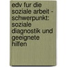 Edv Fur Die Soziale Arbeit - Schwerpunkt: Soziale Diagnostik Und Geeignete Hilfen door Oliver Zetsche