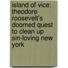 Island Of Vice: Theodore Roosevelt's Doomed Quest To Clean Up Sin-Loving New York by Richard Zacks