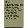 Little Adventures, Big Adventures, Odysseys, And All Around Grand Tales: Book One door Ambrose Tardive