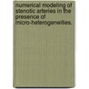 Numerical Modeling Of Stenotic Arteries In The Presence Of Micro-Heterogeneities. door Jonathan Frederick Wenk
