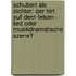 Schubert Als Dichter: Der Hirt Auf Dem Felsen - Lied Oder Musikdramatische Szene?
