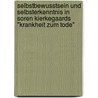 Selbstbewusstsein Und Selbsterkenntnis In Soren Kierkegaards "Krankheit Zum Tode" by Wolfram Schafer