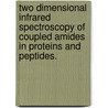 Two Dimensional Infrared Spectroscopy Of Coupled Amides In Proteins And Peptides. door Sayan Bagchi