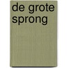 De grote sprong by J. Voigt