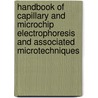 Handbook Of Capillary And Microchip Electrophoresis And Associated Microtechniques door James P. Landers