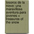 Tesoros De La Nieve: Una Maravillosa Aventura Para Jovenes = Treasures Of The Snow