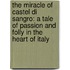 The Miracle Of Castel Di Sangro: A Tale Of Passion And Folly In The Heart Of Italy