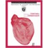 Illustrated Notebook to Accompany Principles of Anatomy and Physiology, 11th Edition