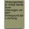 Nibelungenlied - Br Nhilds Identit Tsver Nderungen Vor Dem Hintergrund Der T Uschung door Linda Dressler