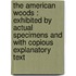 The American Woods : Exhibited By Actual Specimens And With Copious Explanatory Text