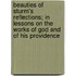 Beauties Of Sturm's Reflections; In Lessons On The Works Of God And Of His Providence