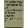 Die Partikulogie - Grundlage Fur Die Psychotherapie In Einem Geeinten Europa - Band 1 by David Leitha