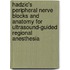 Hadzic's Peripheral Nerve Blocks And Anatomy For Ultrasound-Guided Regional Anesthesia
