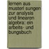 Lernen Aus Musterl Sungen Zur Analysis Und Linearen Algebra: Ein Arbeits- Und Bungsbuch