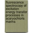 Fluorescence Spectrocopy Of Excitation Energy Transfer Processes In Acaryochloris Marina