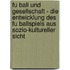 Fu Ball Und Gesellschaft - Die Entwicklung Des Fu Ballspiels Aus Sozio-Kultureller Sicht