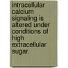 Intracellular Calcium Signaling Is Altered Under Conditions Of High Extracellular Sugar. by Craig Jeffre Gibson